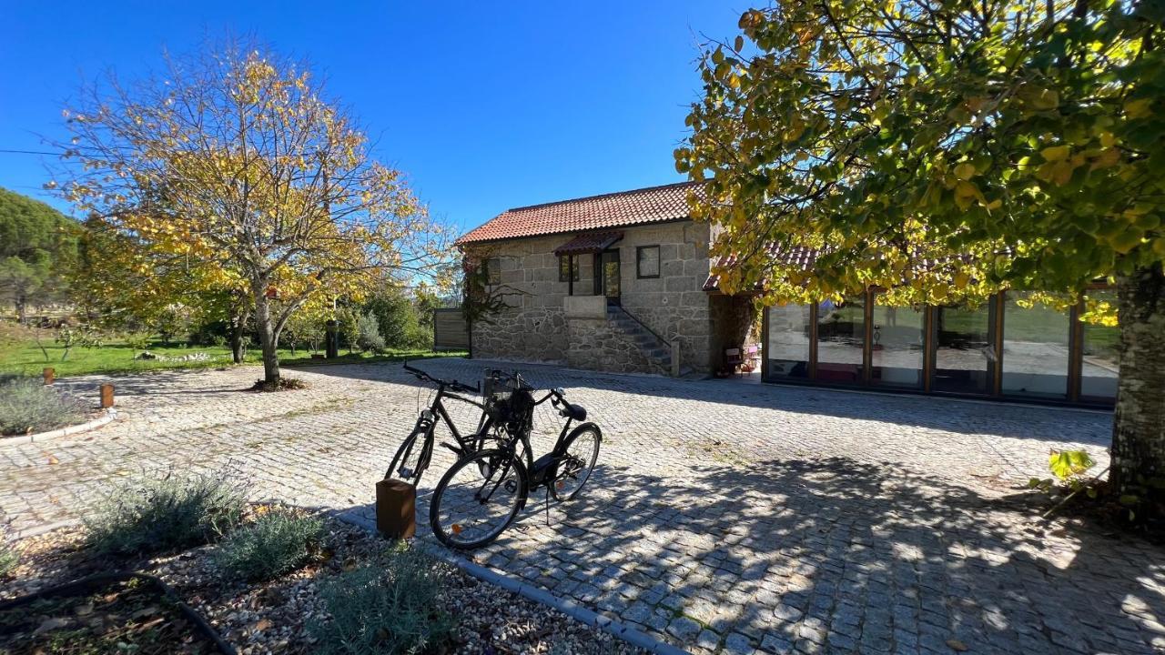 Casas Do Pinheiro Grande Villa Fornos de Algodres Exterior photo
